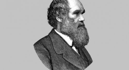 Darwin Day 2026: L'Evoluzione si fa Sostenibile tra Scienza e Risparmio Energetico